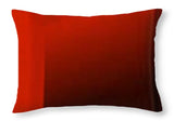 Red Light - Throw Pillow