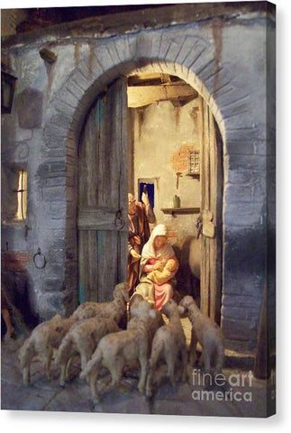 Adorring Sheep - Canvas Print