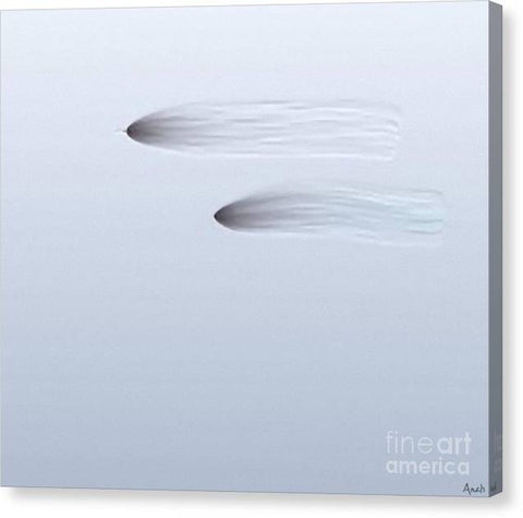 Double Sign - Canvas Print