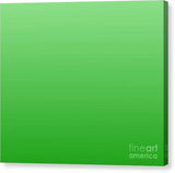 Green Square - Canvas Print