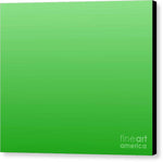 Green Square - Canvas Print