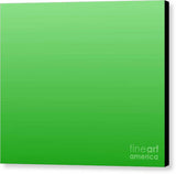 Green Square - Canvas Print