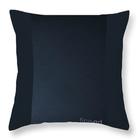 Iridescent Black - Throw Pillow