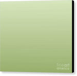 Light Green Square - Canvas Print