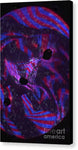 Purple Swirl - Canvas Print