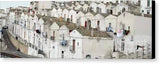 Roofs - Canvas Print